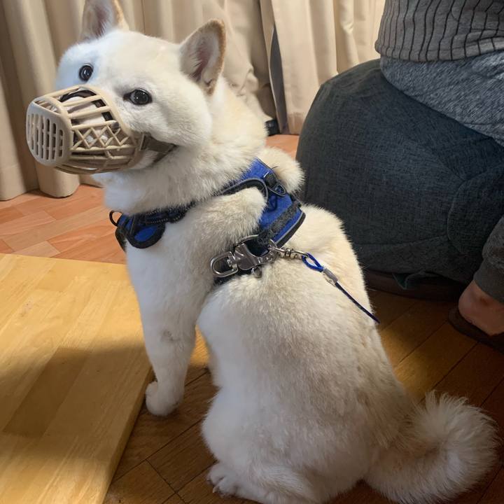 Db55305f 3f06 43ac 8731 aff9fe880034 1644014143735