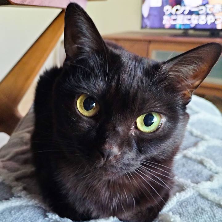 Db555135 cddd 40c3 8091 fce4cfdcbc7f 1707516719038