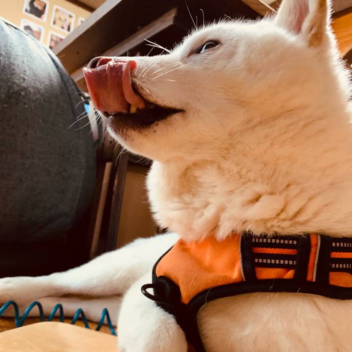 Db5560b9 d619 430e 80b8 d462bfe1aaf6 1670632458216