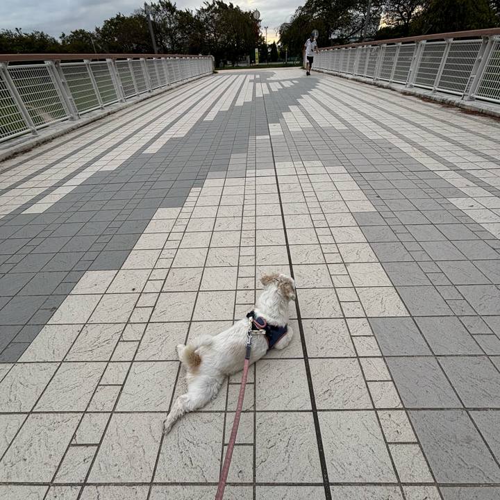 Db557696 11c3 457c b7e6 74df34c755c9 1759959932278