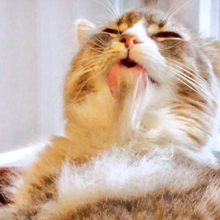 Db557dab d601 46c1 af53 782498241883 1542511848231