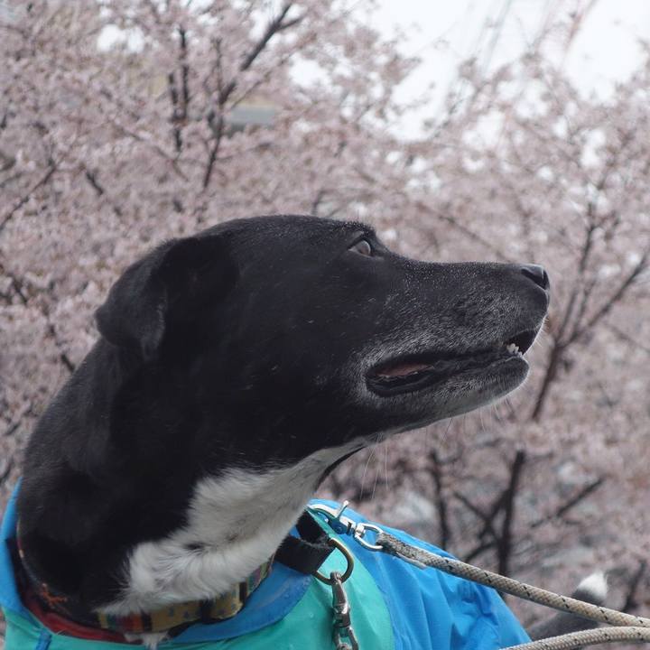 Db5609d5 19f2 4993 8e26 647726b86421 1679790653120