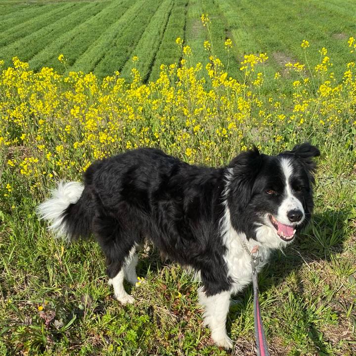 Db561159 0c1c 4362 b0f2 95a8f86b1cc8 1679187053198