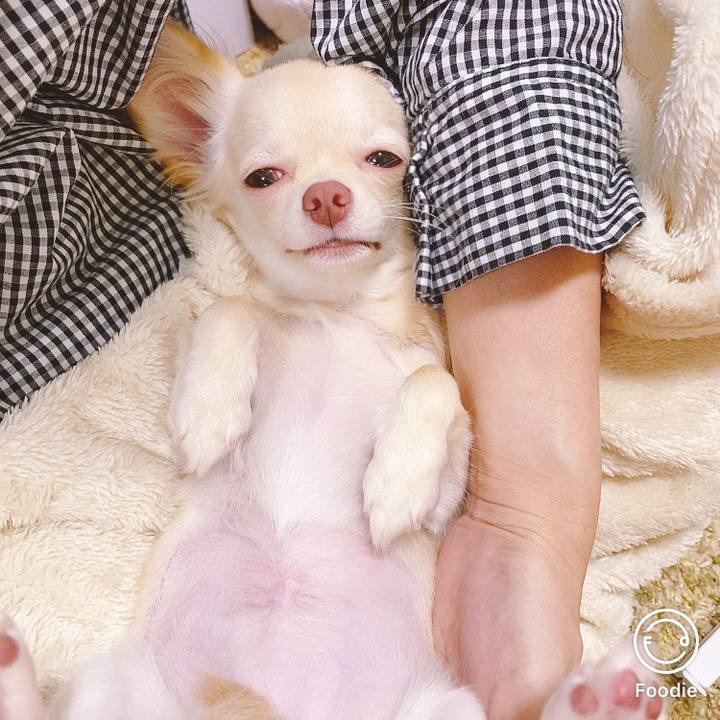 Db5625c3 c2e6 44c8 b3be 699a8f7a0426 1600496010508