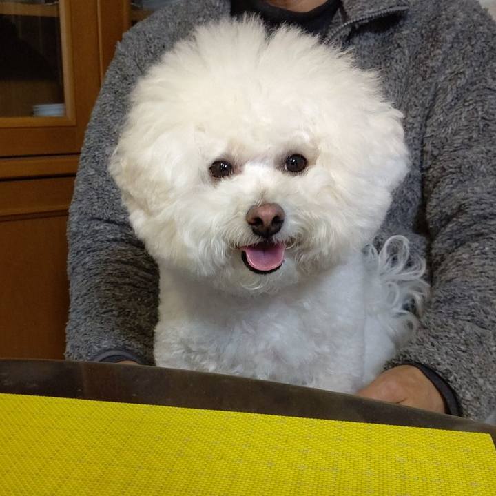 Db563381 cdc2 494a b160 d038a527ba51 1648897696444