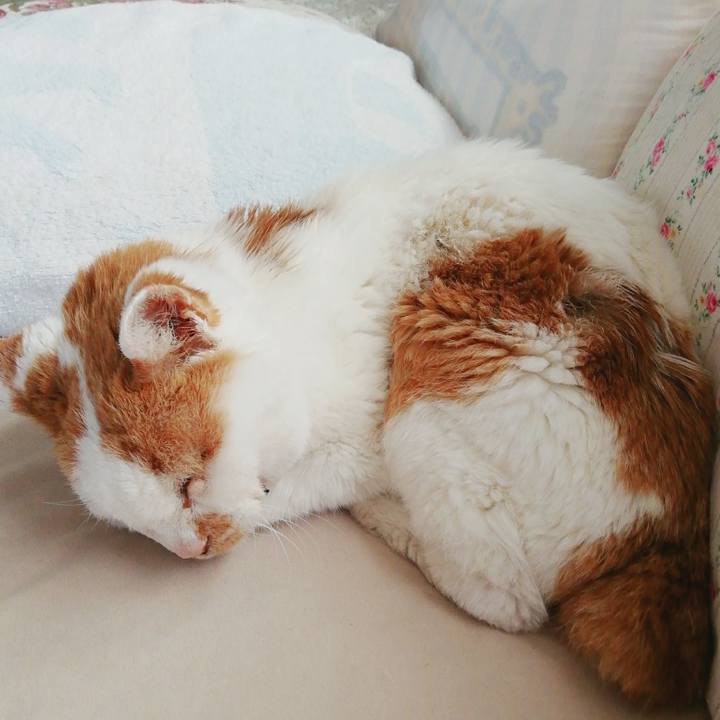 Db567a76 a071 4e4b bd48 42353f906947 1623643500942