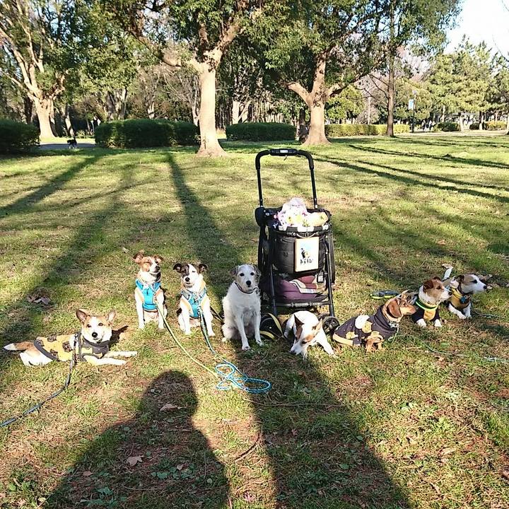 Db567f4d b64d 461e b4dc aa303351d9bb 1578034421346