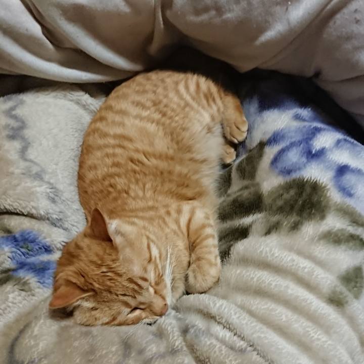 Db569dea bf88 4d99 9c75 d046c0f18a19 1650545128393