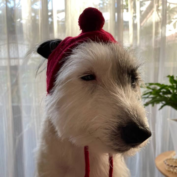 Db56c913 5ef7 4047 8a7c c22724a01db6 1672134242616