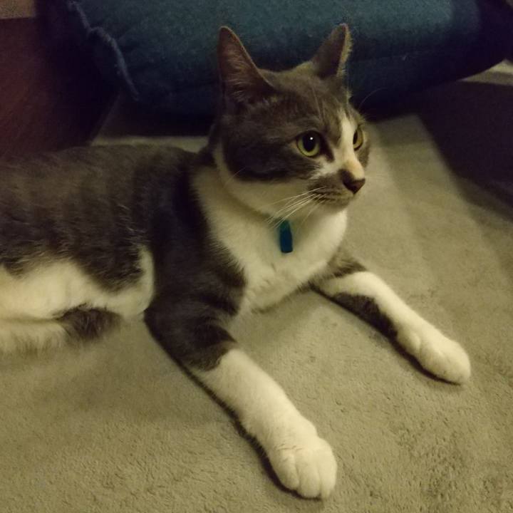 Db56f6f9 0271 408d 91ee 70e54fbfd2ee 1597500408745