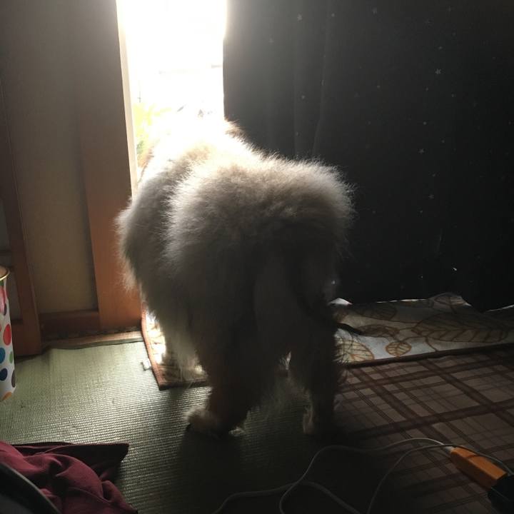 Db572a43 8823 4144 9cb6 2de758e62169 1584843148684