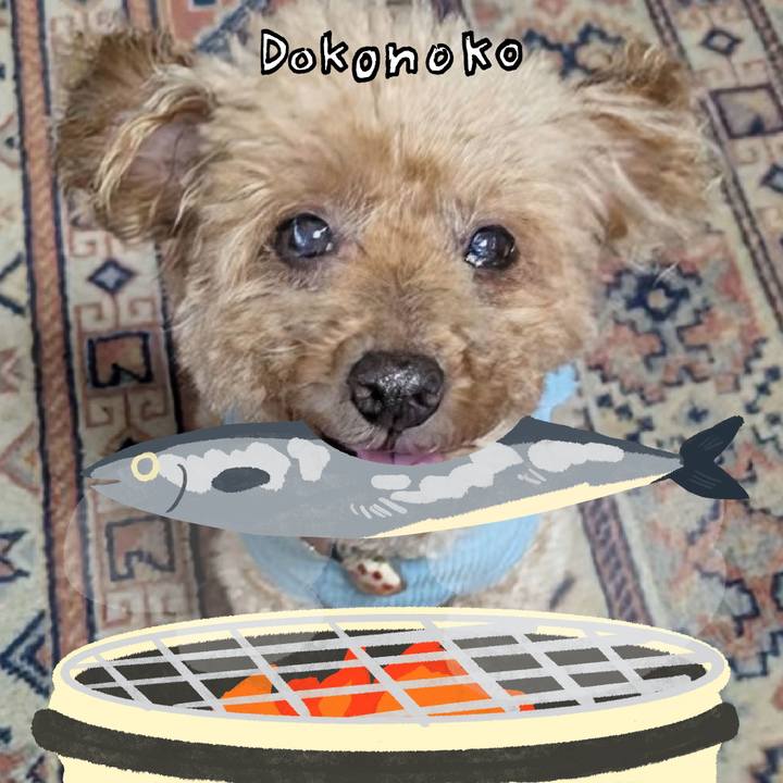 Db574ca4 105e 4ef9 83b0 57925d209dca 1764217314795