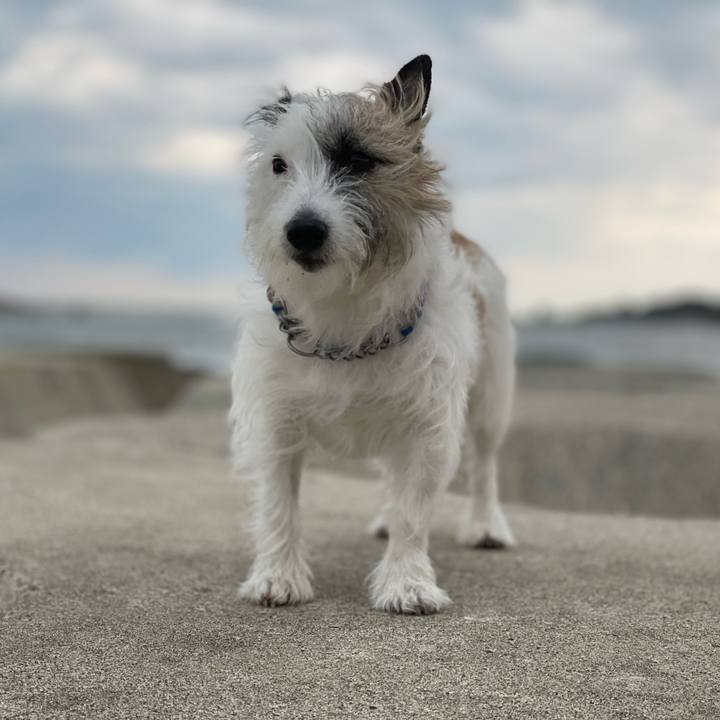 Db578124 61e2 4795 a59e bf611128488b 1667607931244