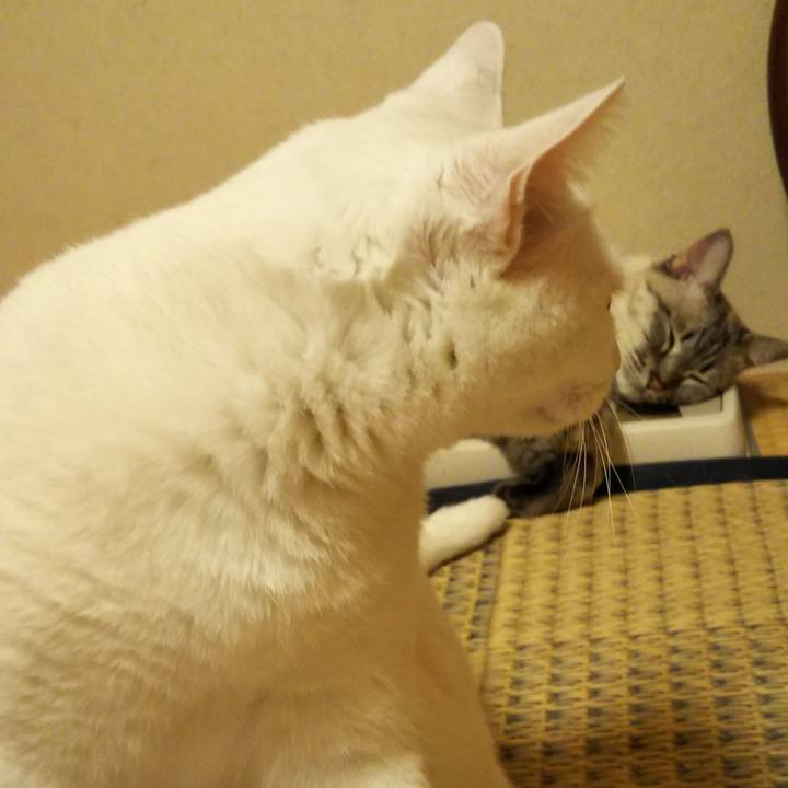 Db57a1b7 e676 43c9 8c67 3f24fff67cb8 1532093892603