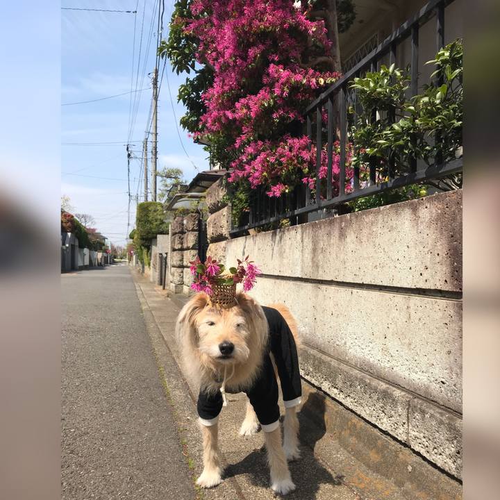 Db57aa51 0f73 4184 aa11 2ccca27feccd 1616816718561