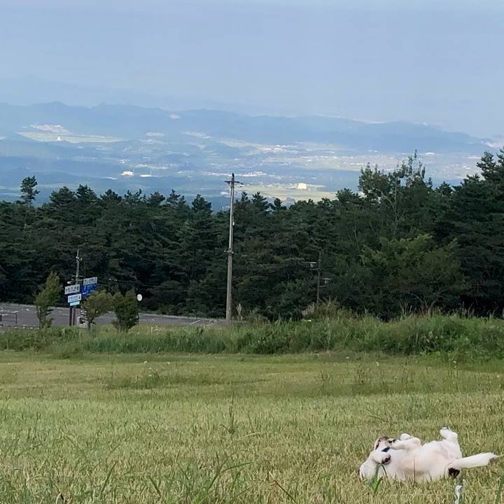 Db57d590 f179 4e5e 8009 af8172006e24 1663472243635