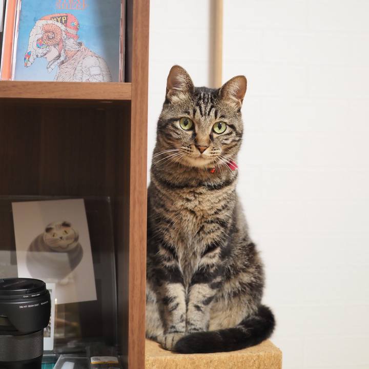 Db57f30f 4fb8 4c02 8eb6 75168af7f80c 1598186063724