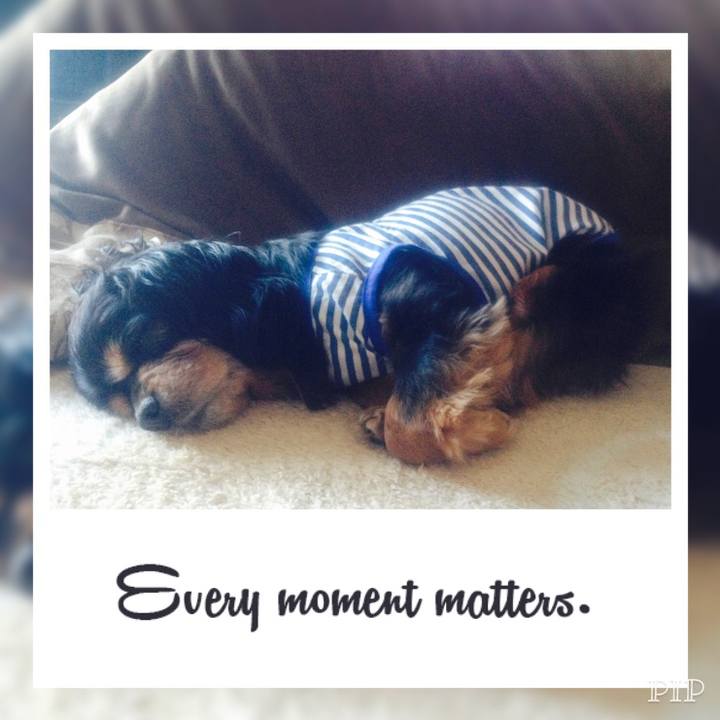 Db5810fe 38ea 4f11 8ef6 ed76bd065621 1574663848144