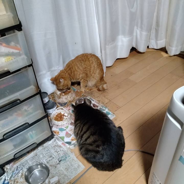 Db586b4b bf42 45ba af6b 164c40001cc8 1701418006439