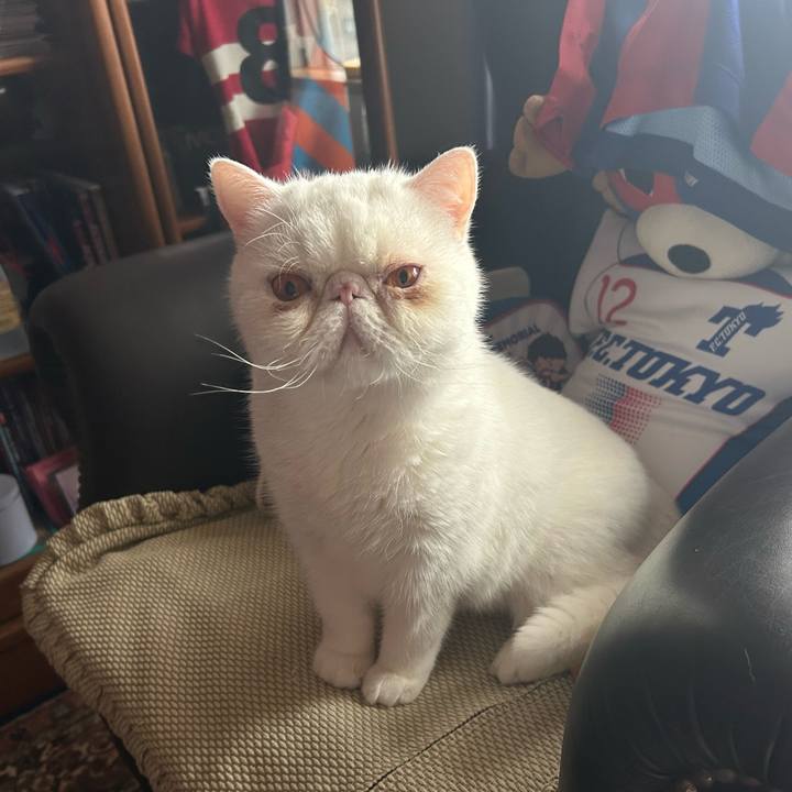 Db58755c b5ff 4afd 8345 03fa19405c94 1696385692469