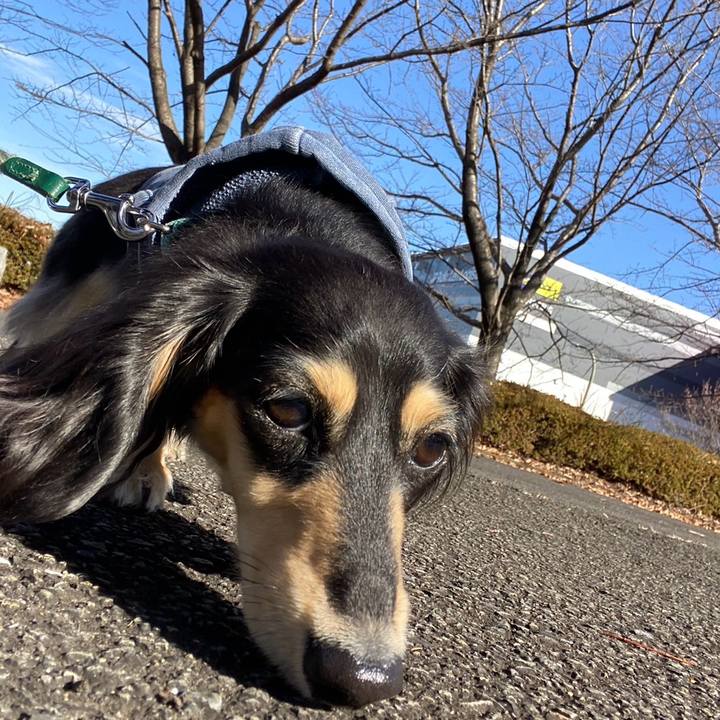 Db589236 1562 43a3 8b69 5522c917dccf 1734758214320