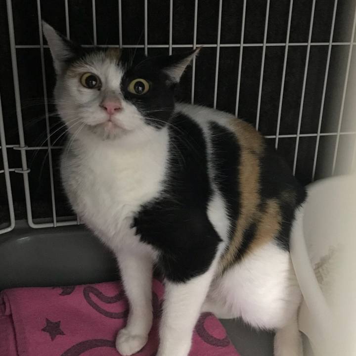 Db58e274 48d0 4f99 a26b af7010948ab1 1511274809547