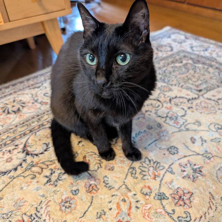 Db58e817 4315 4936 91e8 50142e9879b6 1776985649150