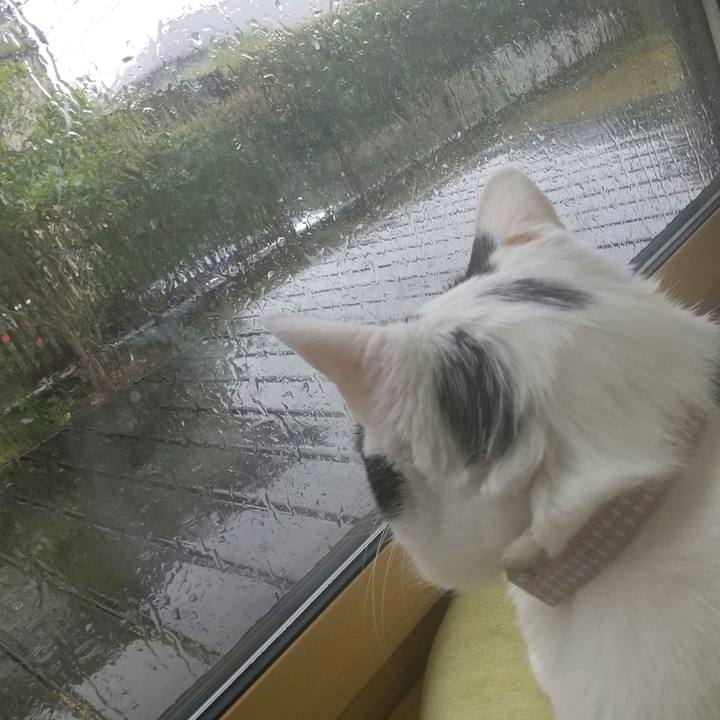 Db592bb5 dc7b 403b 9481 6fb1b5c36da2 1654140620244