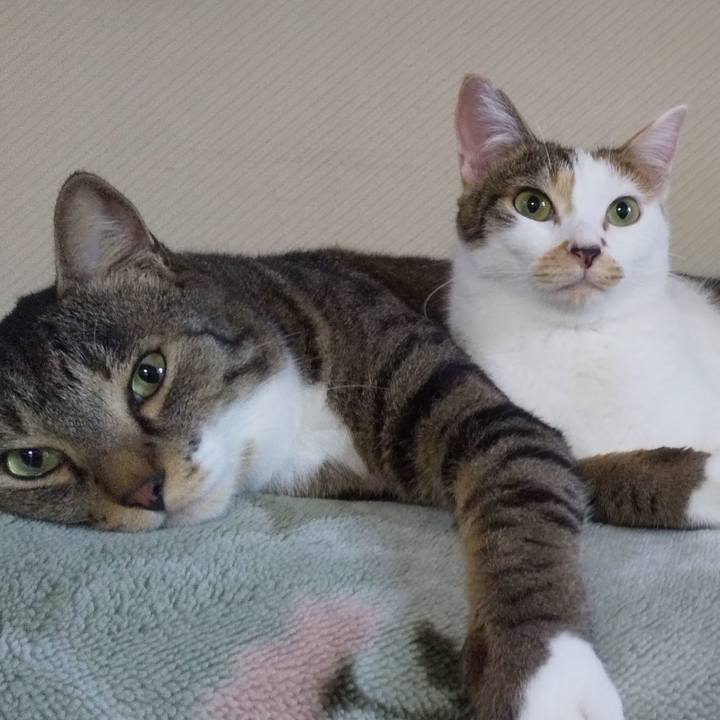 Db59b6a3 589f 4eda 8337 9203867ded2f 1663901582712