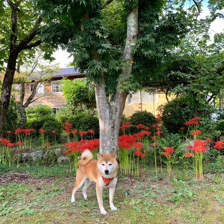 Db59bdb2 80c0 4ff1 b655 a9641798f093 1569747713307