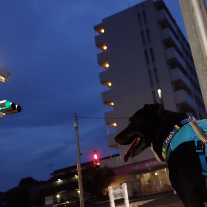 Db59c3df f020 47ca 9098 ac22bd71cac9 1687950626756