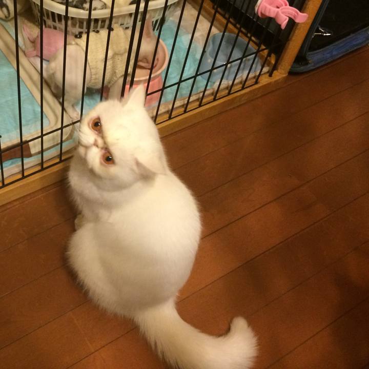 Db59ccbb a1a0 49db 967c 8207981c3a36 1743259027813