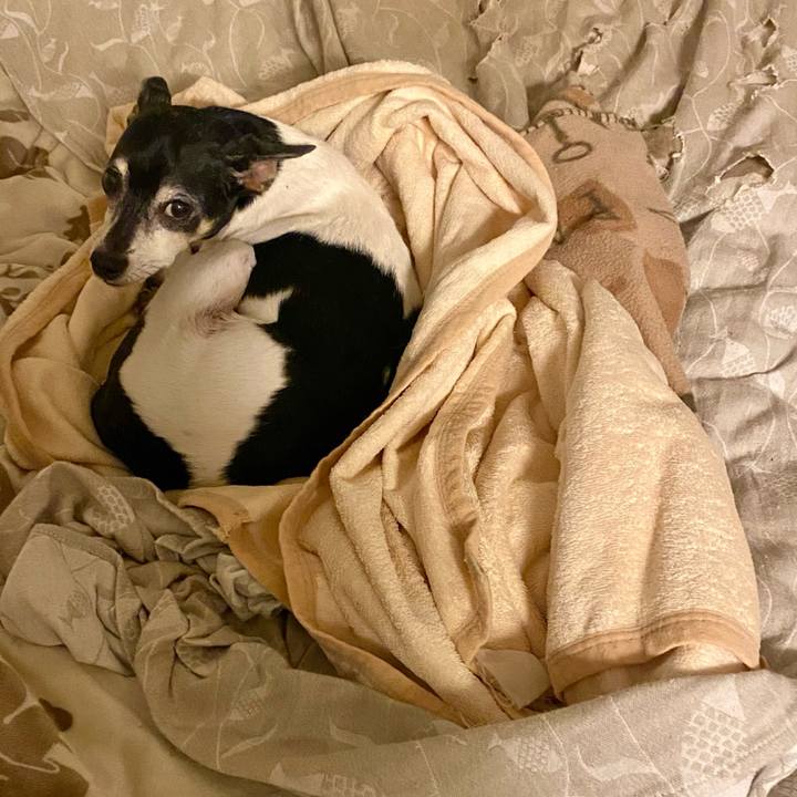 Db59e51a fb5e 4195 936a 99f2c18e2b3a 1616591070800