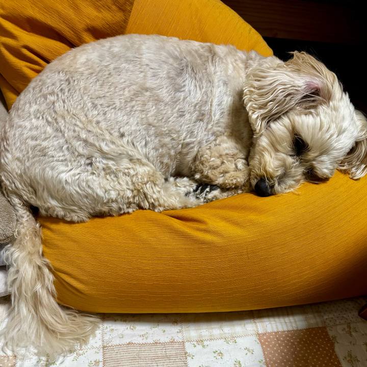 Db59f8b8 15e2 4294 a754 902274d798d2 1772953737974