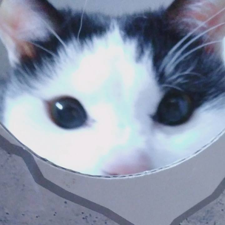 Db5a22b7 8b46 414e 9663 b1cb5006e818 1553771784499