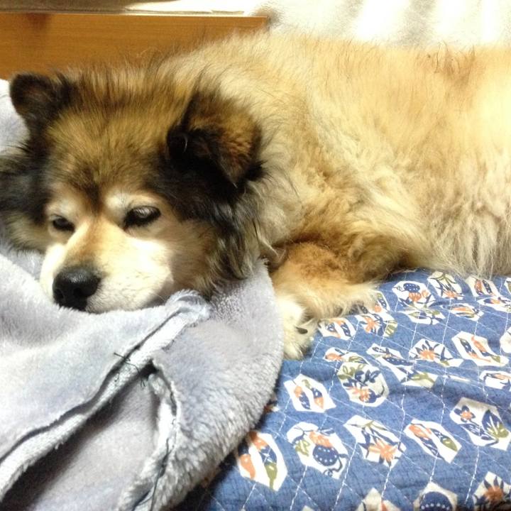 Db5a31d6 174a 4e93 a065 c96c9cac3eb1 1613541767806