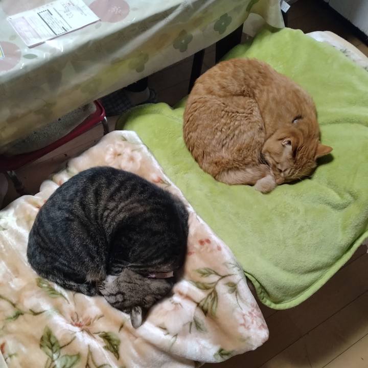 Db5a5659 9564 454e a3fb cf97ff71f039 1729484458583