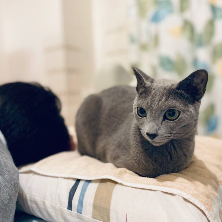 Db5a6052 54e7 4aaf 88f1 b6968847e67c 1636861403403