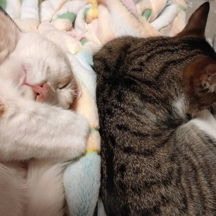 Db5a64c1 8bb7 4b02 a34d 346dba46a69b 1673171750743