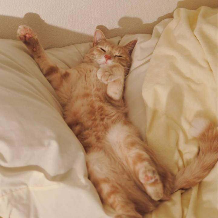 Db5a69c2 8de6 4576 a7dd 3aac5c8bde50 1623589540412