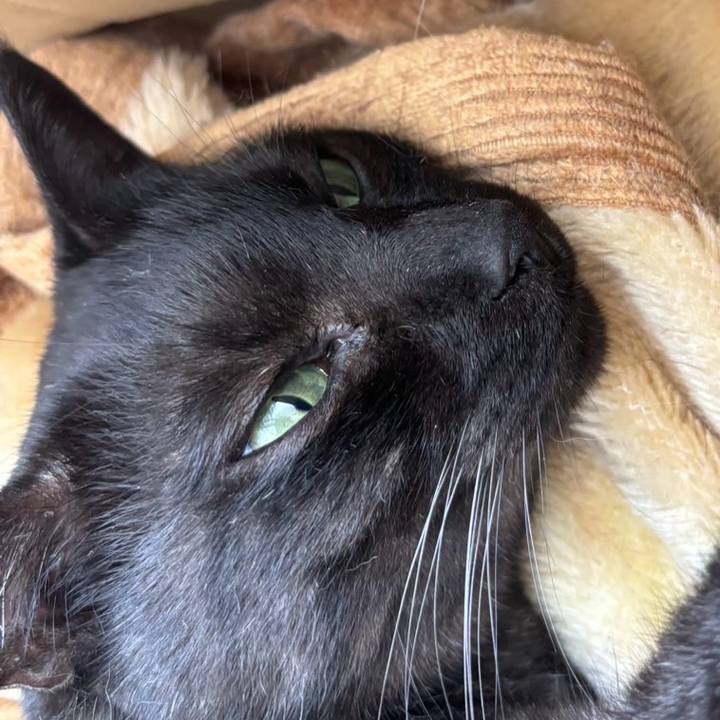 Db5a79f9 8c6c 4e31 8c67 1f28a5fabdd6 1758928126088