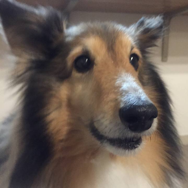 Db5a7e25 88fe 459e bb13 d9242e2d75dc 1591328228224