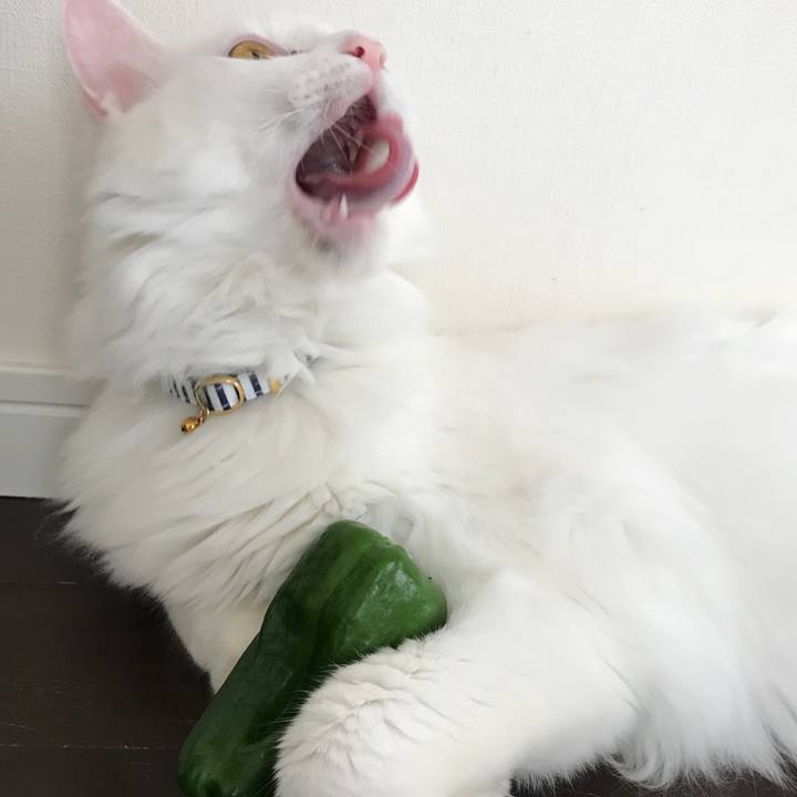 Db5afd79 4d6a 43d2 ba05 c84d464ddaed 1527944039229