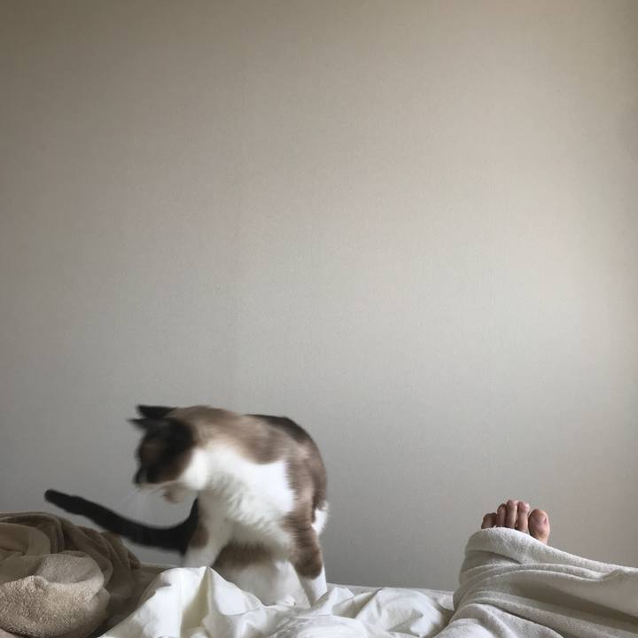 Db5b7f2a 4d1c 41d7 b3e8 aa1bfe5b15e5 1525417511151