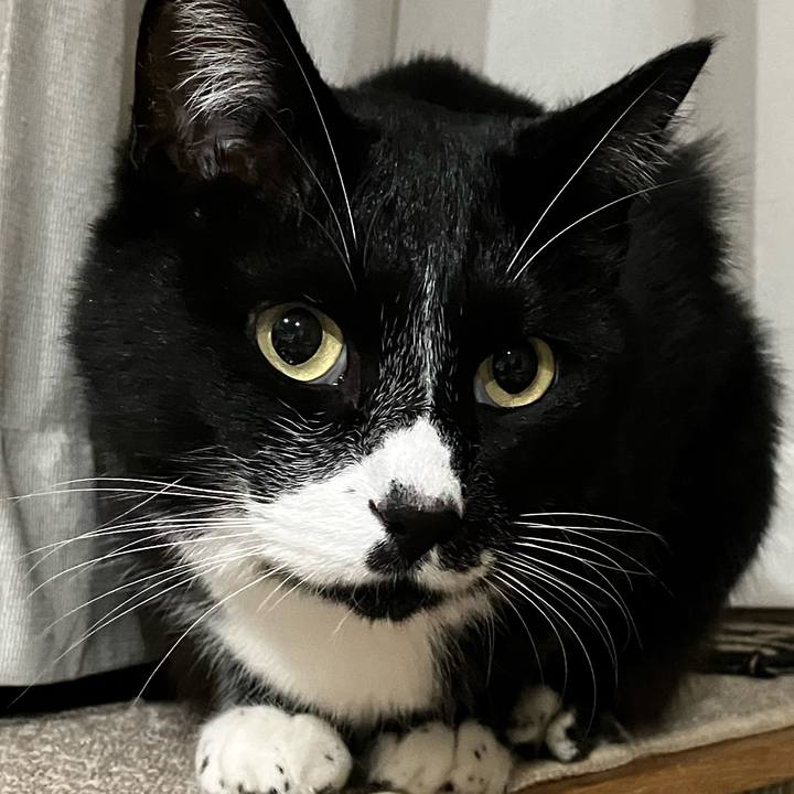 Db5b8dc9 f753 4712 bc18 0f55a93f4549 1671594096437