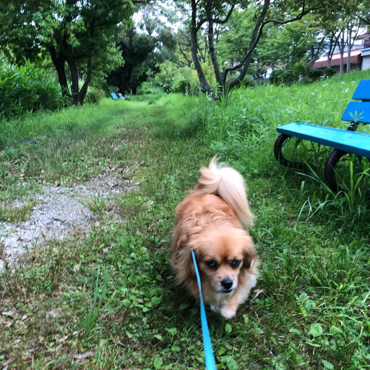 Db5ba6d5 b6a0 4076 8330 916b7212a2a0 1562715618444