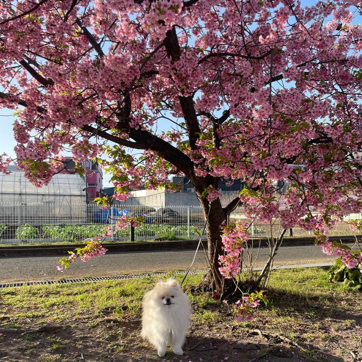 Db5bbcfd cd75 4e41 978d 05fddfc93120 1678491033532