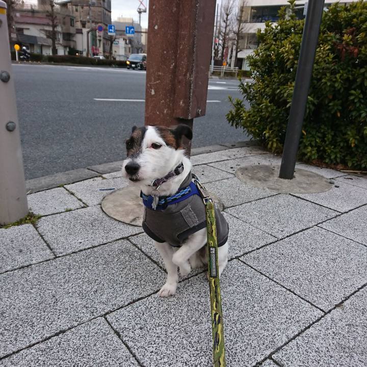 Db5bc739 9b10 40b3 b426 4a4baae961ff 1518732653880