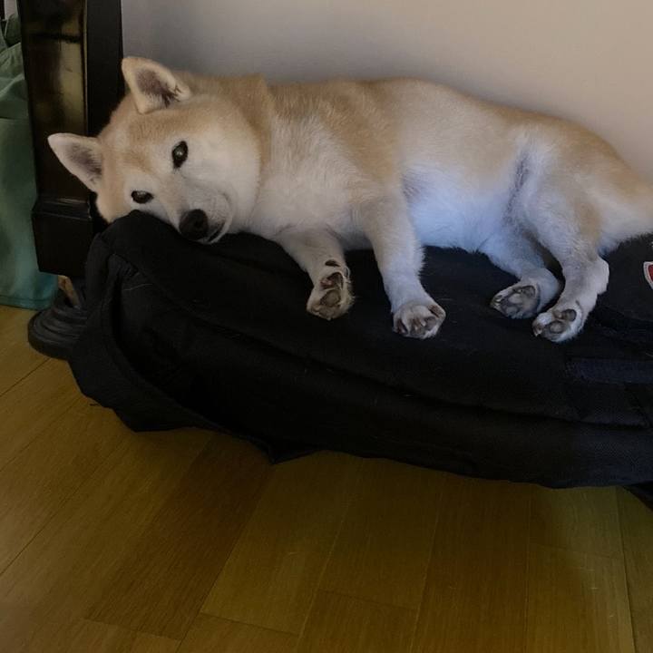 Db5bd0b5 54f7 495f b33f 5c7fc5fa09a7 1636293091303