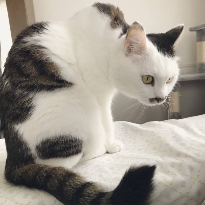 Db5be578 1740 40e7 bd32 387650c6310f 1554004266352